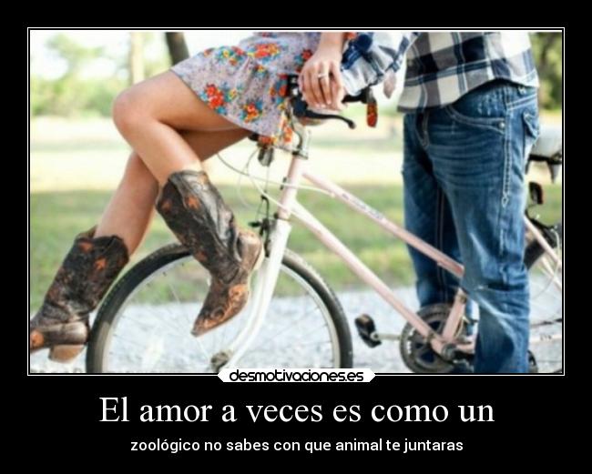 El amor a veces es como un - zoológico no sabes con que animal te juntaras