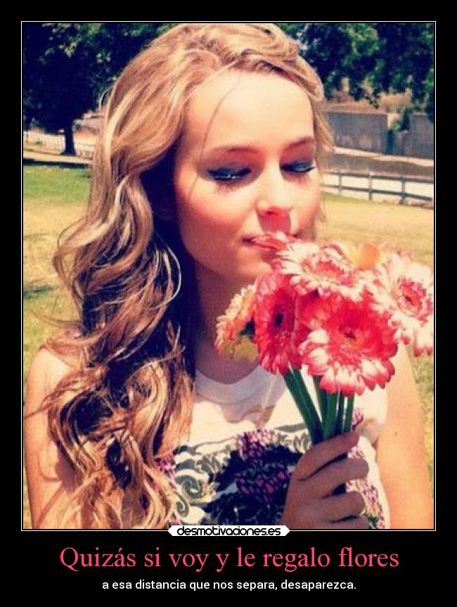 carteles amor maxwell desmotivaciones