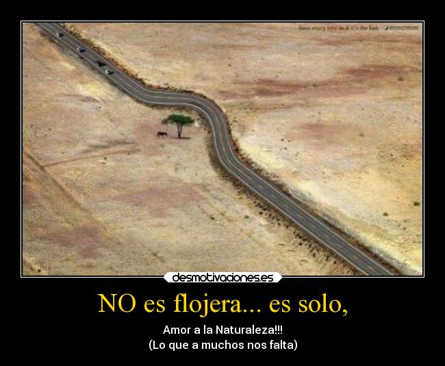 NO es flojera... es solo, - Amor a la Naturaleza!!!
(Lo que a muchos nos falta)