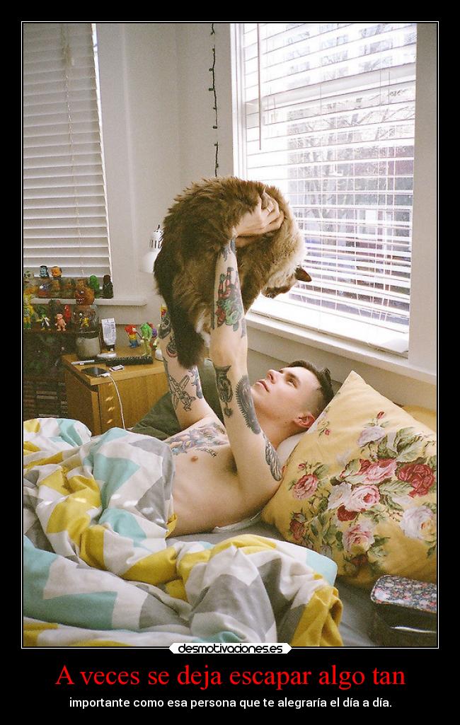 carteles amor vida 2desmotema5 desmotivaciones