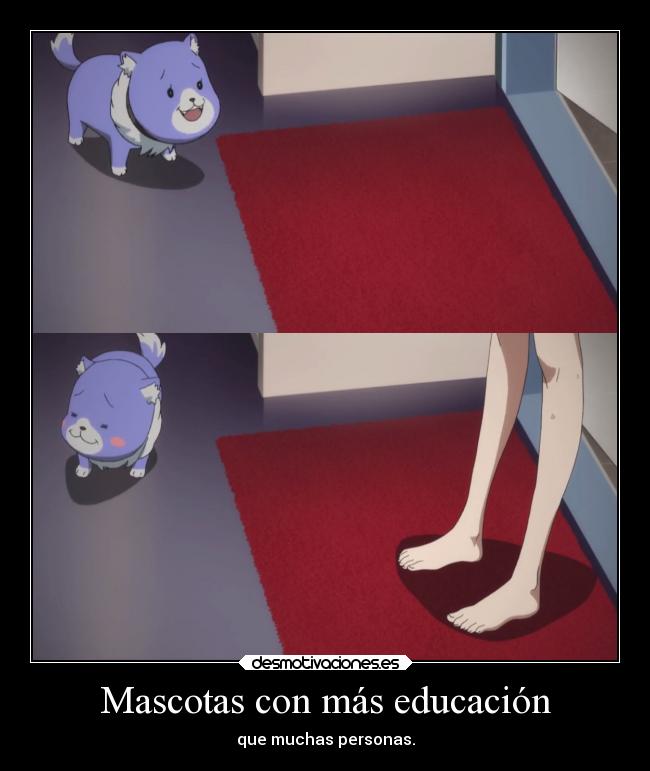 carteles animales amigos humor anime vida raptorhunters harukaze manga holyknight holy knight personas pantsu desmotivaciones