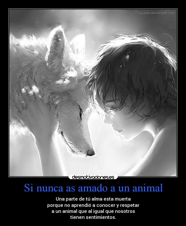 Si nunca as amado a un animal -