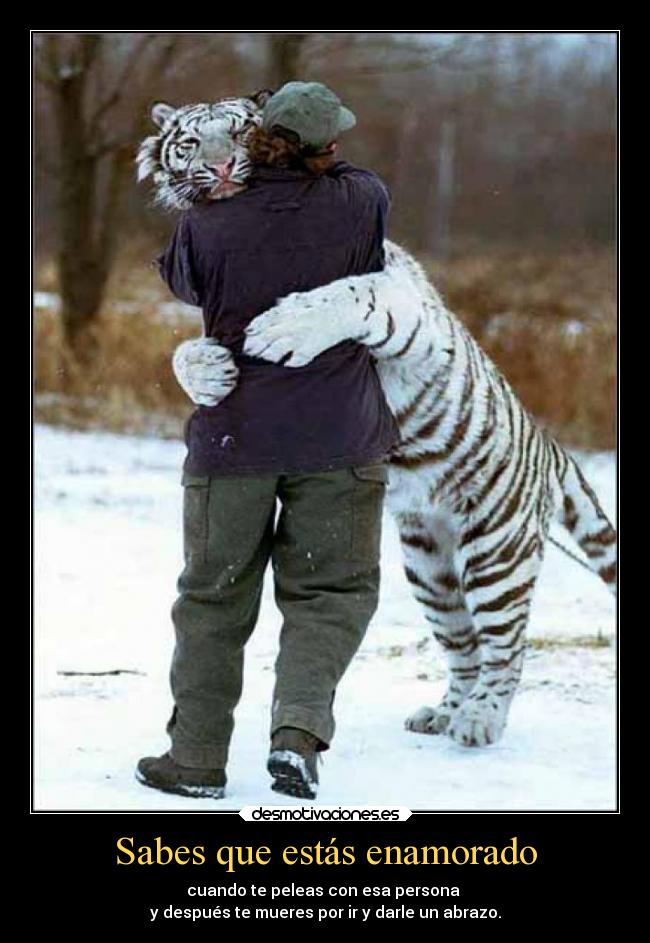 Sabes que estás enamorado - cuando te peleas con esa persona
y después te mueres por ir y darle un abrazo.