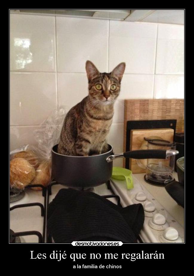 Les dijé que no me regalarán - a la familia de chinos