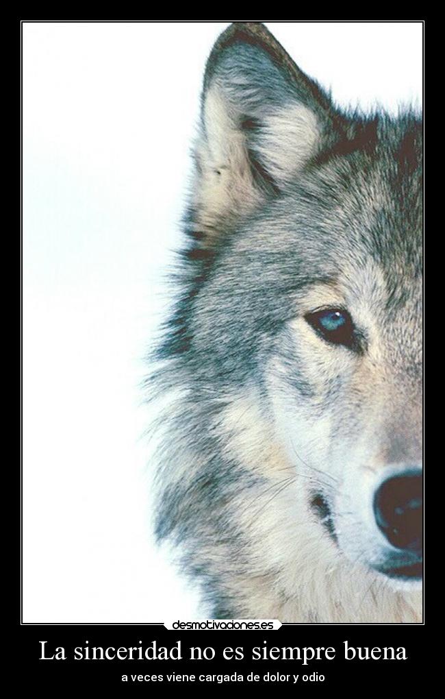 La sinceridad no es siempre buena - a veces viene cargada de dolor y odio