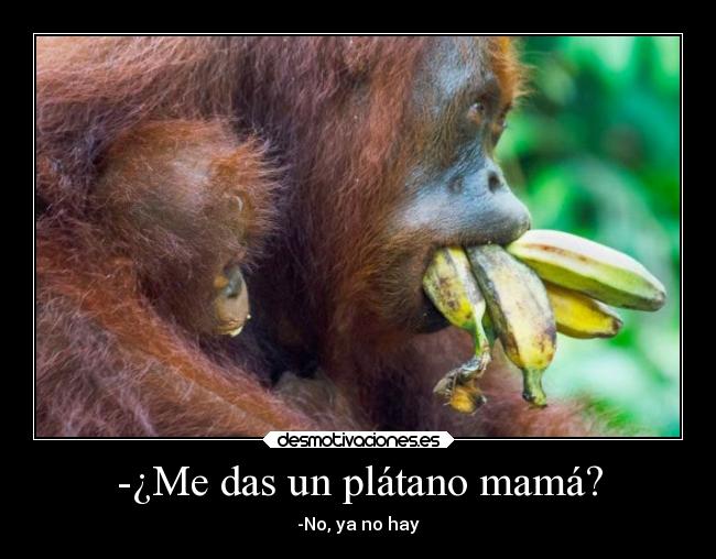 -¿Me das un plátano mamá? - -No, ya no hay