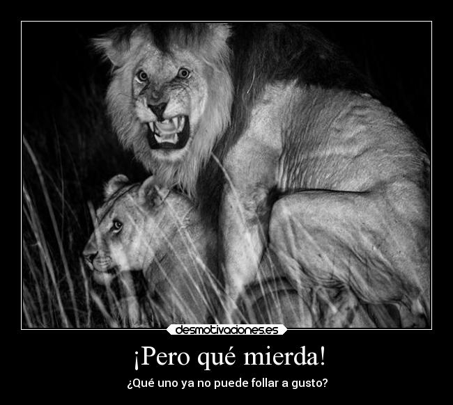 ¡Pero qué mierda! - ¿Qué uno ya no puede follar a gusto?