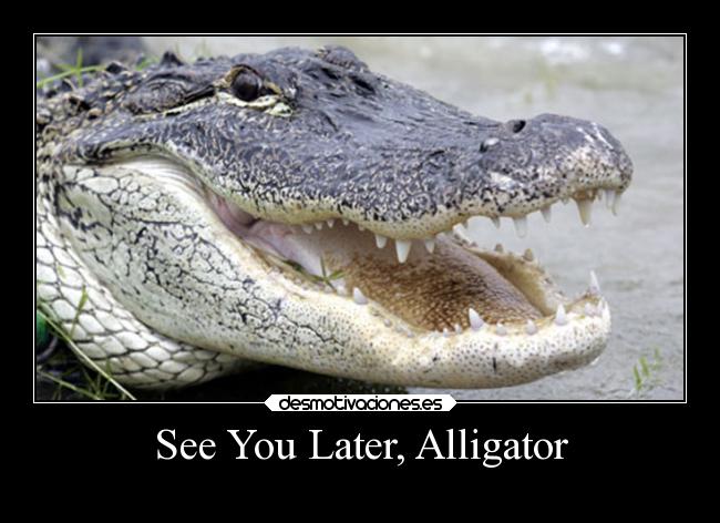 carteles animales desmotivaciones