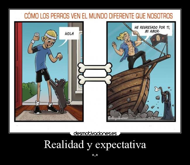 Realidad y expectativa - *-*
