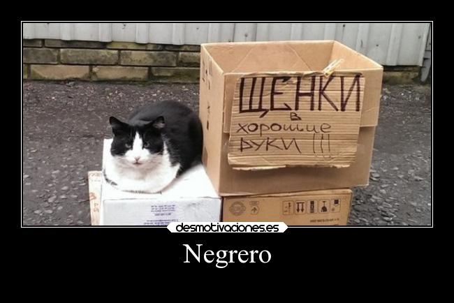 Negrero -