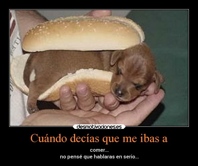 carteles animales graciosas chiste ternura desmotivaciones