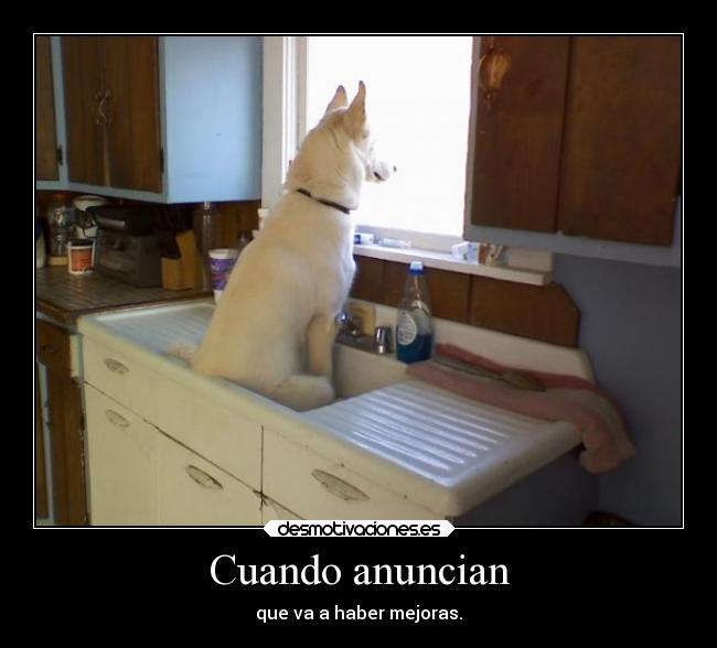 Cuando anuncian - 