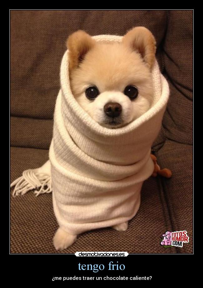 tengo frio - ¿me puedes traer un chocolate caliente?