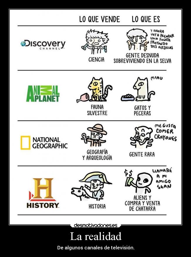 La realidad - De algunos canales de televisión.