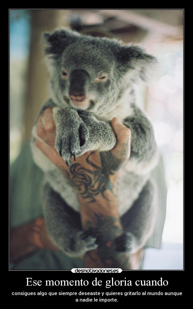 Ese momento de gloria cuando -