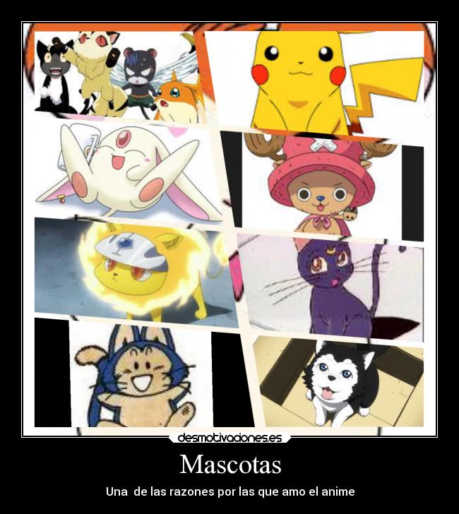 Mascotas - 
