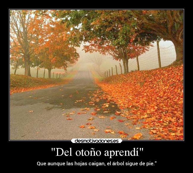 carteles anime desmotivaciones