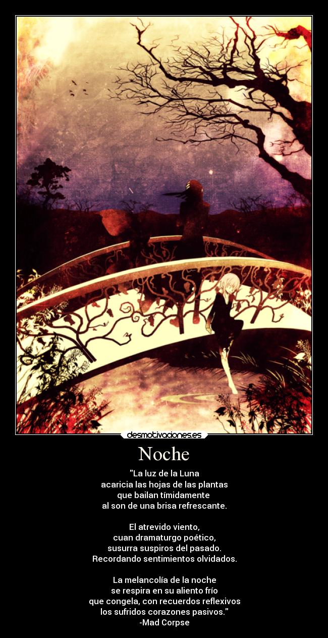 Noche - 