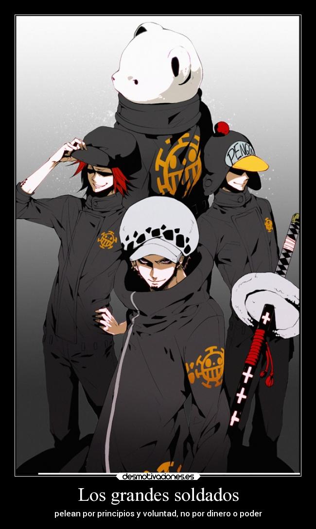 carteles anime tixo trafalgar law one pieces hearth pirates desmotivaciones