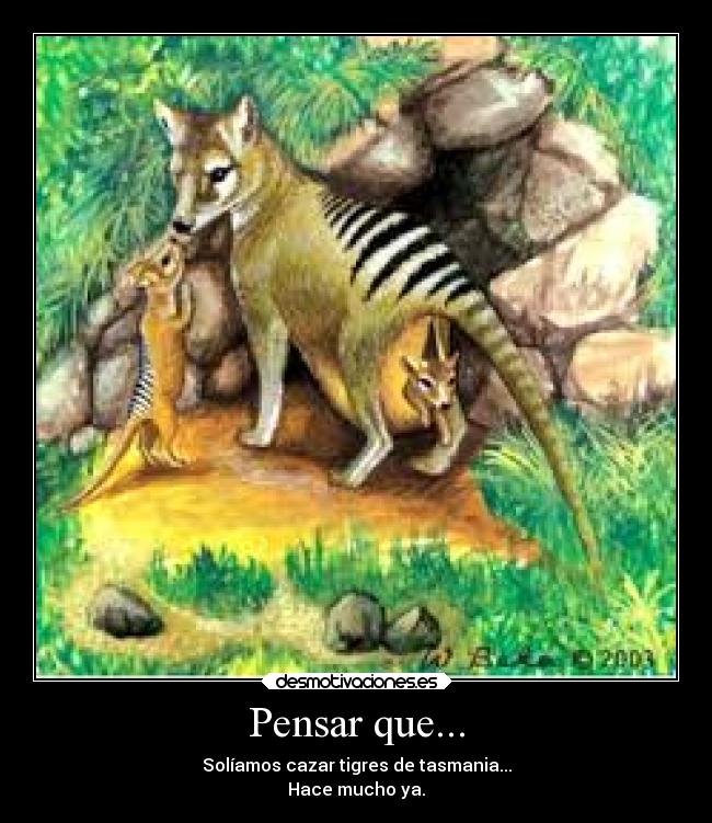 Pensar que... - Solíamos cazar tigres de tasmania...
Hace mucho ya.
