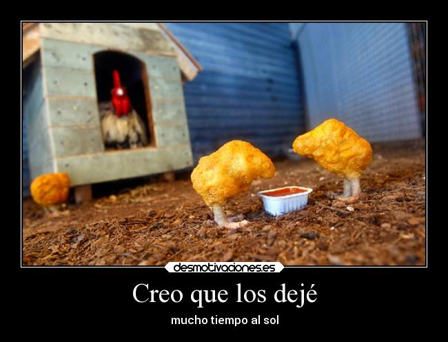 Creo que los dejé - mucho tiempo al sol