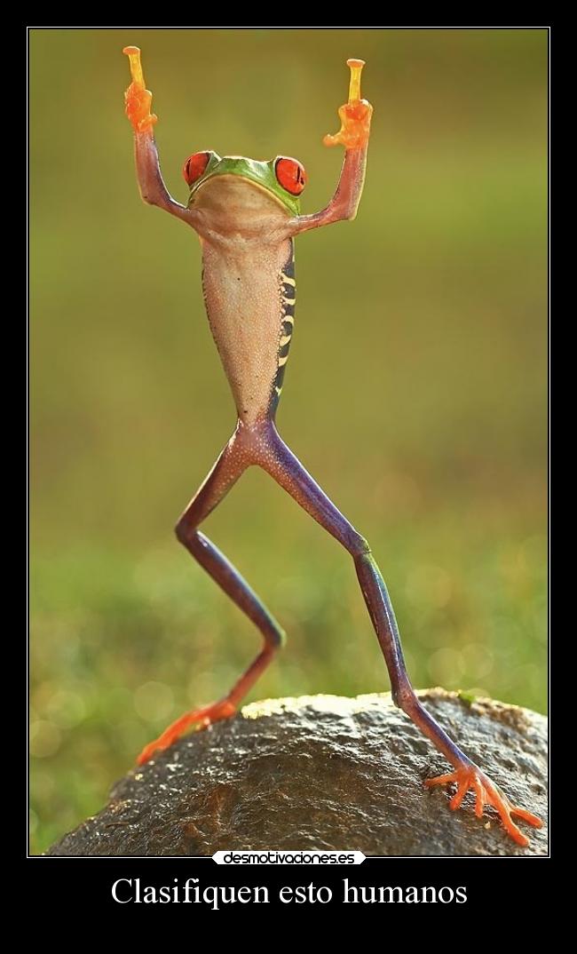 Clasifiquen esto humanos - 