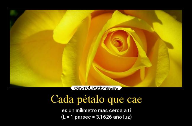 Cada pétalo que cae -