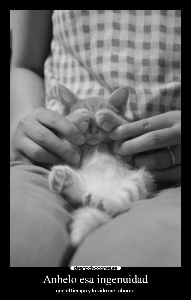 Anhelo esa ingenuidad - 