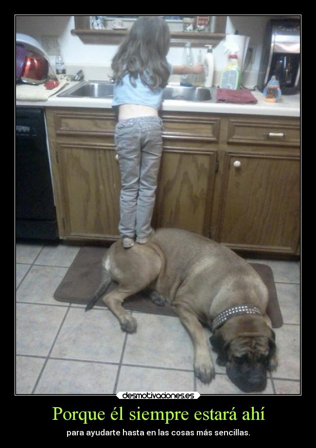 Porque él siempre estará ahí - 