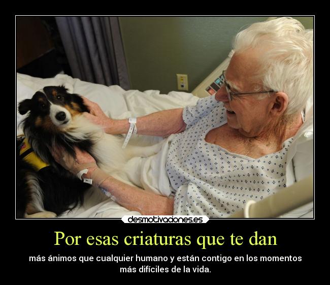 Por esas criaturas que te dan - 