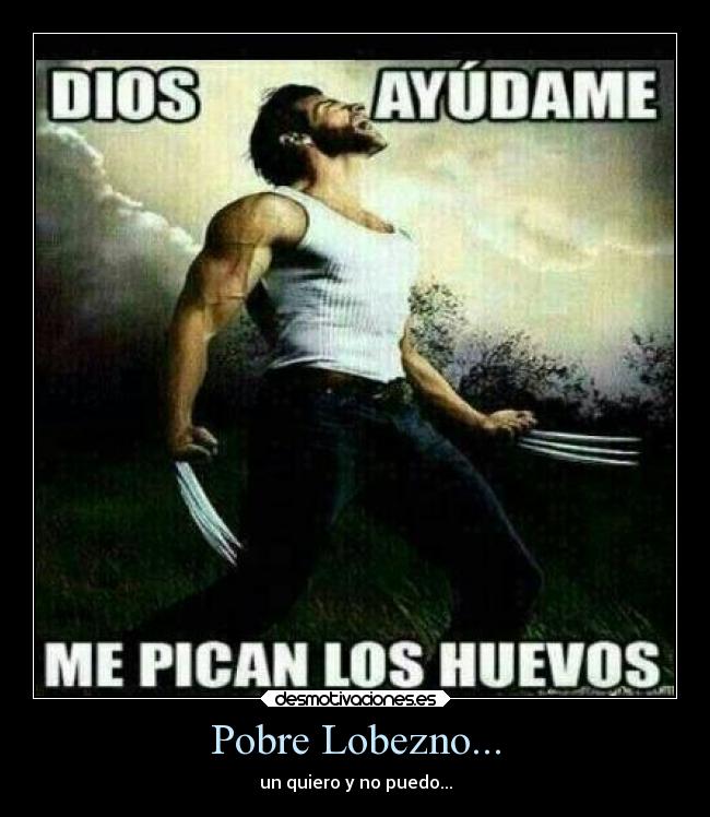 Pobre Lobezno... - 