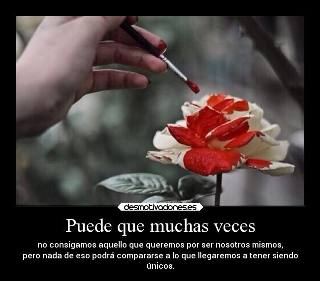 carteles caracter llegar tener veces querer personalidad seguridad motivadoradesmotivadora16 desmotivaciones