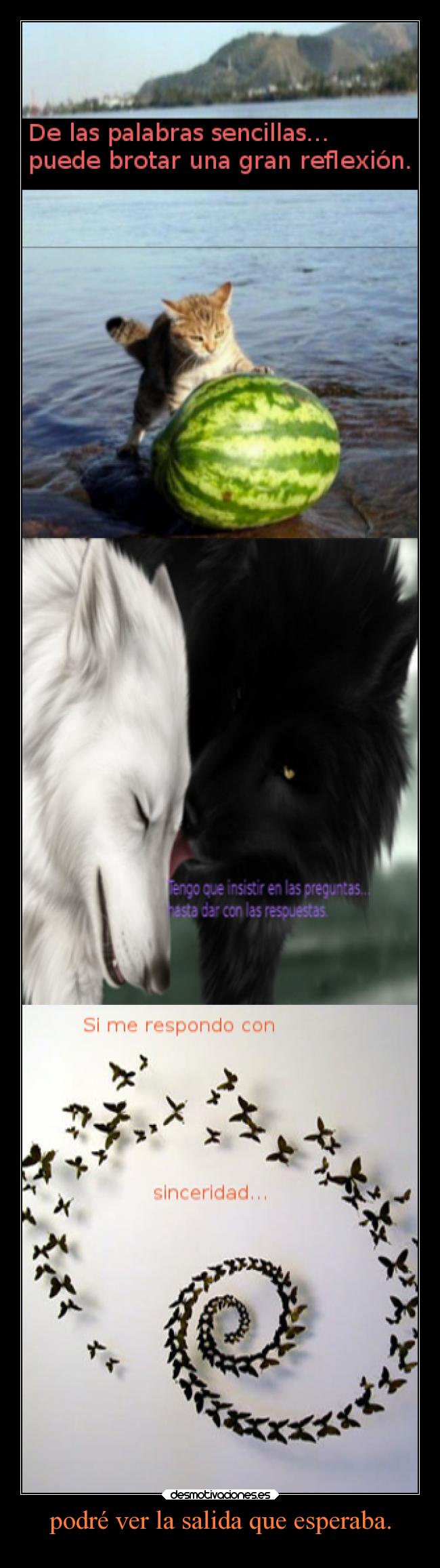 podré ver la salida que esperaba. - 