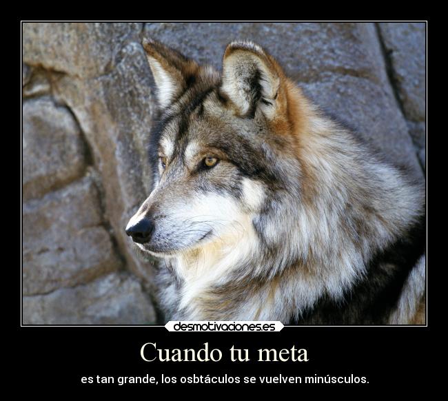 carteles caracter vongolaring lobos metas guiltycrown23 osbtaculos shingekinokyojin23 desmotivaciones