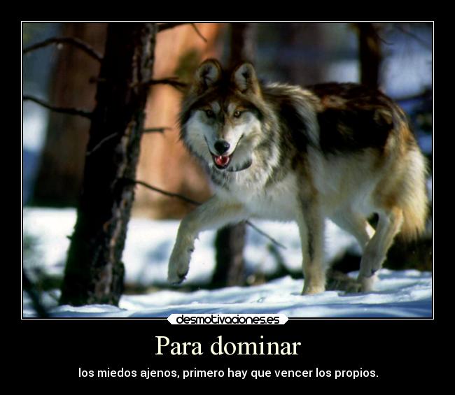 Para dominar -