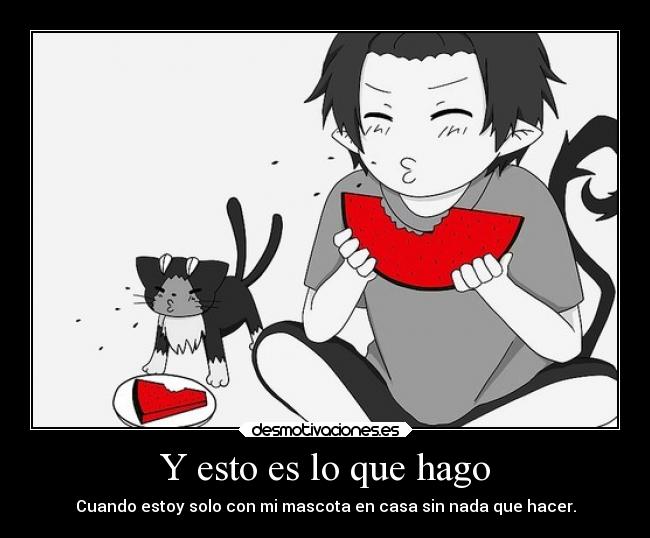 Y esto es lo que hago - 