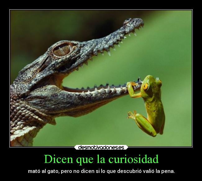Dicen que la curiosidad - mató al gato, pero no dicen si lo que descubrió valió la pena.