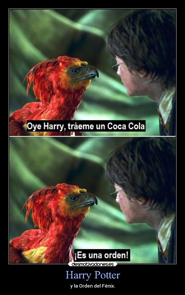 Harry Potter - y la Orden del Fénix.