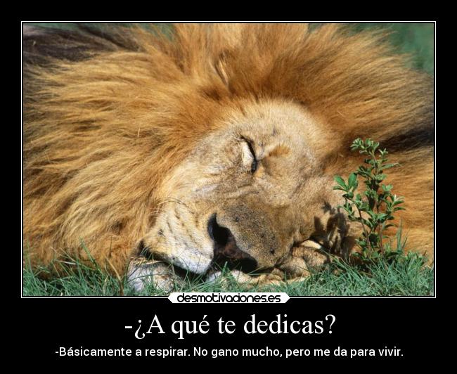 -¿A qué te dedicas? - -Básicamente a respirar. No gano mucho, pero me da para vivir.