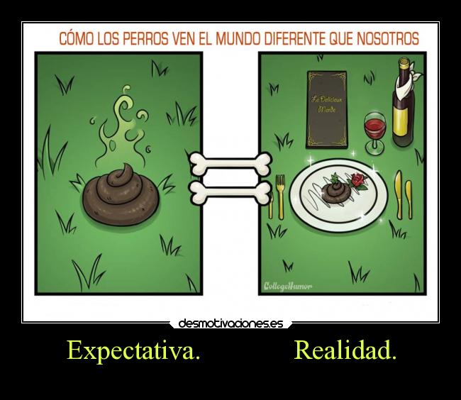 Expectativa. Realidad. -