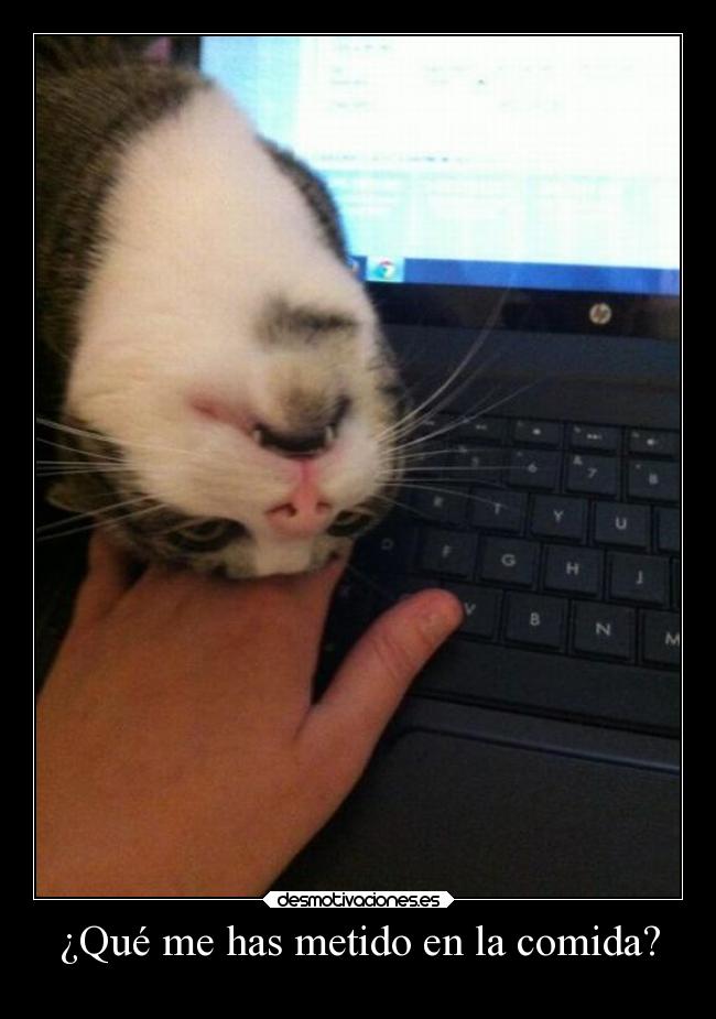 ¿Qué me has metido en la comida? -