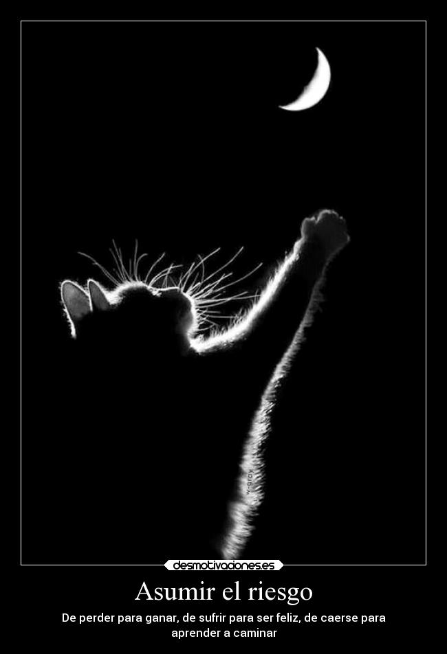 carteles confianza alma corazon soledad vida sociedad desmotivaciones desmotivaciones