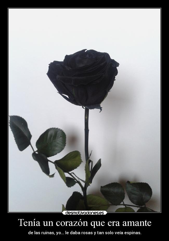 Tenía un corazón que era amante - de las ruinas, yo... le daba rosas y tan solo veía espinas.