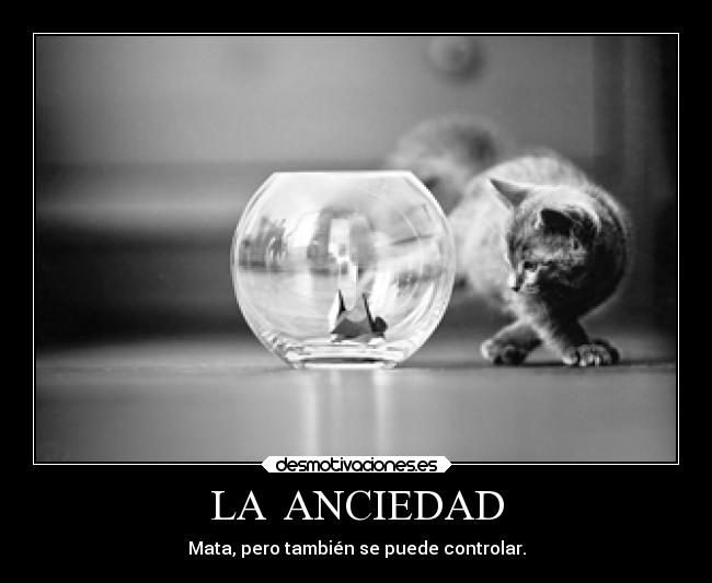 LA  ANCIEDAD - 