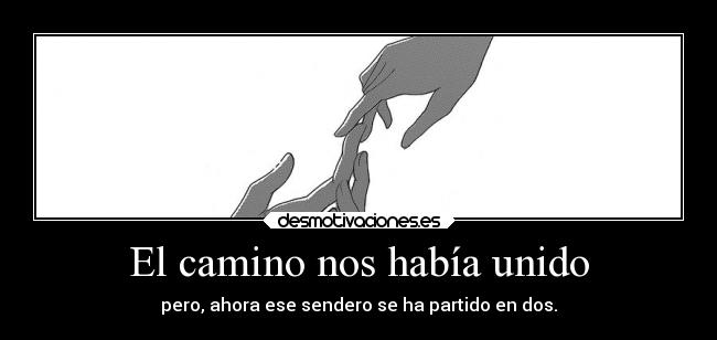 El camino nos había unido - 