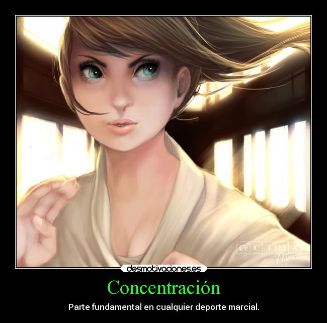 Concentración - Parte fundamental en cualquier deporte marcial.