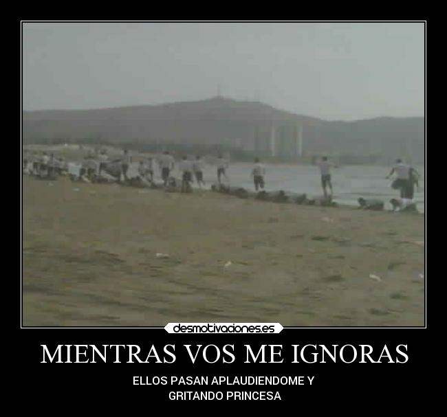MIENTRAS VOS ME IGNORAS - ELLOS PASAN APLAUDIENDOME Y
 GRITANDO PRINCESA