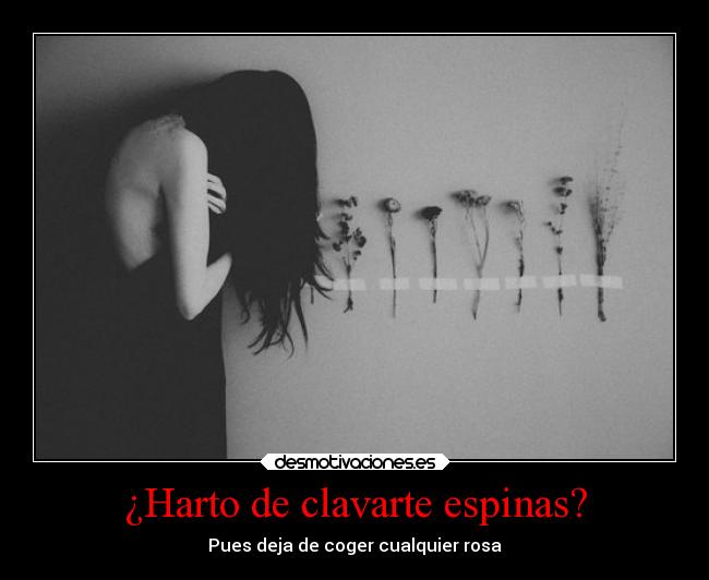 ¿Harto de clavarte espinas? - 