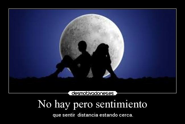 No hay pero sentimiento - 