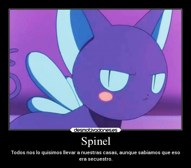 Spinel - Todos nos lo quisimos llevar a nuestras casas, aunque sabiamos que eso
era secuestro.